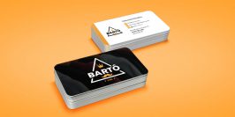 Criar Catão de Visita